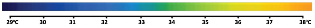 ytermo_line.jpg